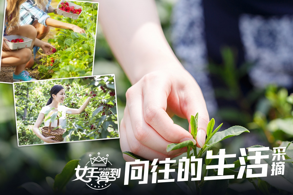 向往的生活.jpg