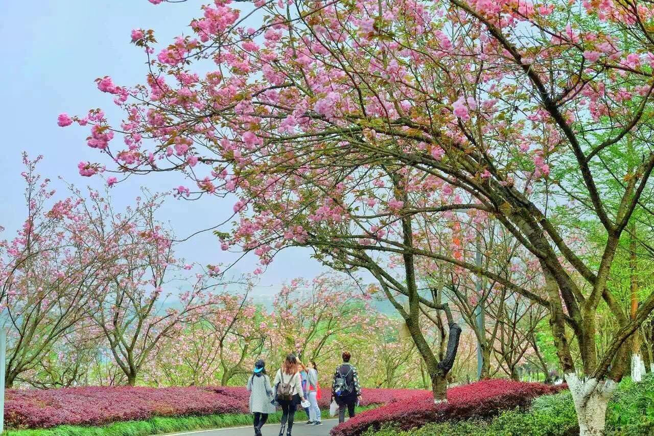 重慶園博園介紹 開放時間地址電話信息