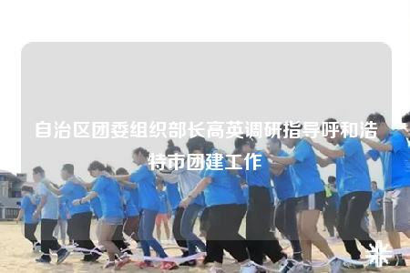 自治區(qū)團(tuán)委組織部長高英調(diào)研指導(dǎo)呼和浩特市團(tuán)建工作