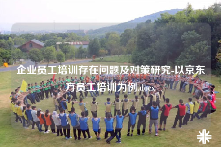 企業(yè)員工培訓(xùn)存在問(wèn)題及對(duì)策研究-以京東方員工培訓(xùn)為例.docx
