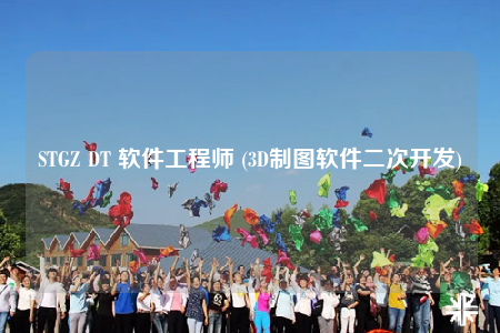 STGZ DT 軟件工程師 (3D制圖軟件二次開發(fā))