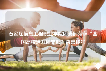 石家莊信息工程職業(yè)學(xué)院團支部榮獲“全國高?；盍F支部”榮譽稱號