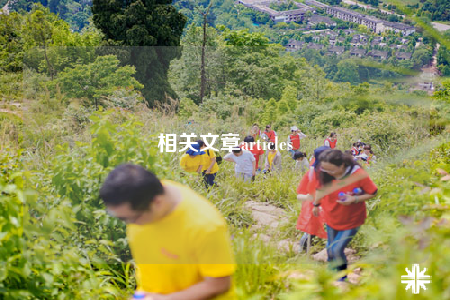 相關文章articles