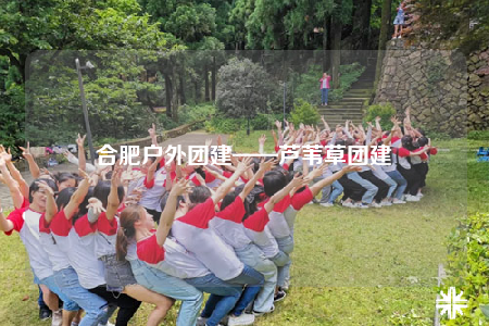 合肥戶外團(tuán)建——蘆葦草團(tuán)建