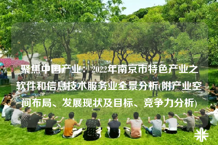 聚焦中國(guó)產(chǎn)業(yè)：2022年南京市特色產(chǎn)業(yè)之軟件和信息技術(shù)服務(wù)業(yè)全景分析(附產(chǎn)業(yè)空間布局、發(fā)展現(xiàn)狀及目標(biāo)、競(jìng)爭(zhēng)力分析)