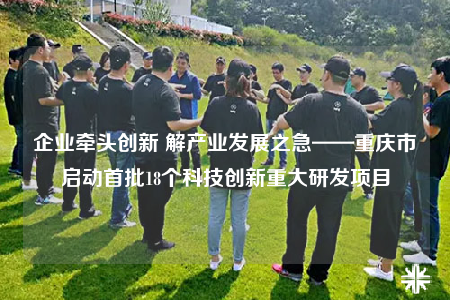 企業(yè)牽頭創(chuàng)新 解產業(yè)發(fā)展之急——重慶市啟動首批18個科技創(chuàng)新重大研發(fā)項目