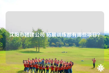 沈陽市團(tuán)建公司 拓展訓(xùn)練都有哪些項目？