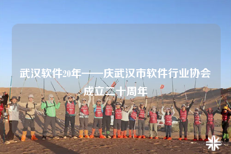武漢軟件20年——慶武漢市軟件行業(yè)協(xié)會(huì)成立二十周年