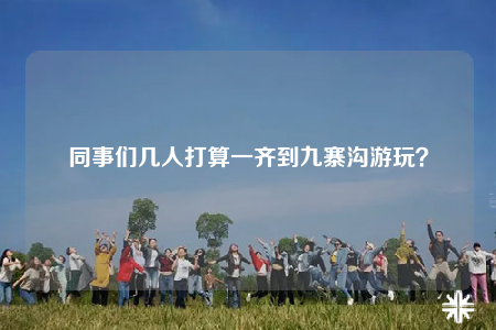 同事們幾人打算一齊到九寨溝游玩？