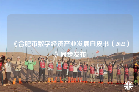 《合肥市數(shù)字經濟產業(yè)發(fā)展白皮書（2022）》同步發(fā)布