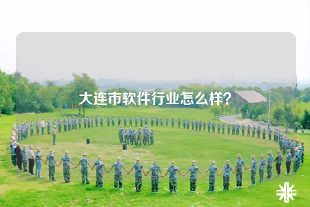 大連市軟件行業(yè)怎么樣？