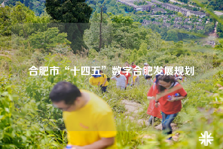 合肥市“十四五”數(shù)字合肥發(fā)展規(guī)劃