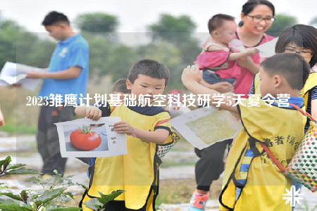 2023雛鷹計劃基礎(chǔ)航空科技研學5天夏令營