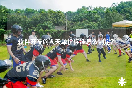 軟件開發(fā)的人天單價標(biāo)準(zhǔn)怎么制定？