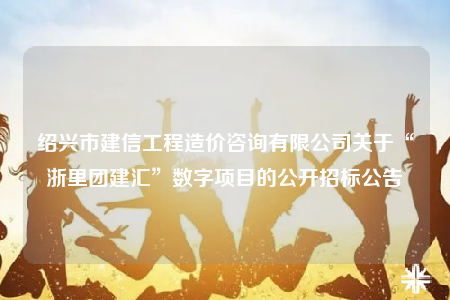 紹興市建信工程造價咨詢有限公司關于“浙里團建匯”數字項目的公開招標公告
