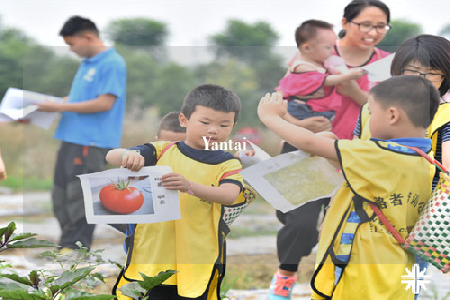 Yantai