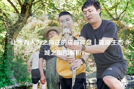 讓所有人為之向往的成都神盤｜麓湖生態(tài)城之組團解析Two