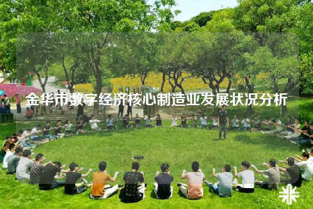 金華市數(shù)字經(jīng)濟(jì)核心制造業(yè)發(fā)展?fàn)顩r分析