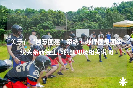 關(guān)于在“智慧團建”系統(tǒng)上辦理團員團組織關(guān)系轉(zhuǎn)接工作的通知及相關(guān)說明