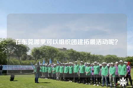 在東莞哪里可以組織團(tuán)建拓展活動呢？