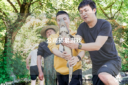 公司拓展游戲