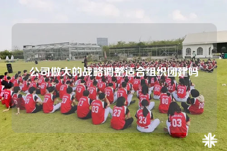 公司做大的戰(zhàn)略調(diào)整適合組織團(tuán)建嗎