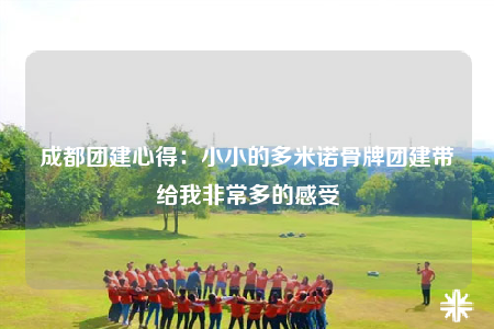 成都團建心得：小小的多米諾骨牌團建帶給我非常多的感受