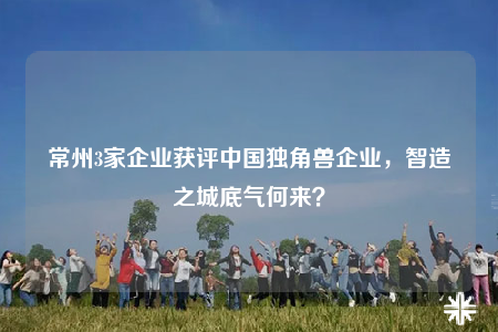 常州3家企業(yè)獲評(píng)中國(guó)獨(dú)角獸企業(yè)，智造之城底氣何來？
