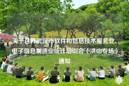 關(guān)于召開武漢市軟件和信息技術(shù)服務(wù)業(yè)、電子信息制造業(yè)統(tǒng)計(jì)培訓(xùn)會(huì)（洪山專場(chǎng)）通知