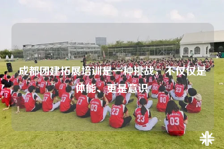 成都團建拓展培訓是一種挑戰(zhàn)，不僅僅是體能、更是意識