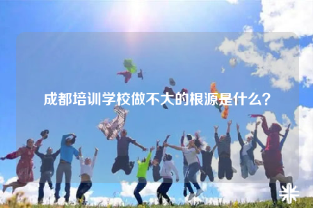 成都培訓(xùn)學(xué)校做不大的根源是什么？