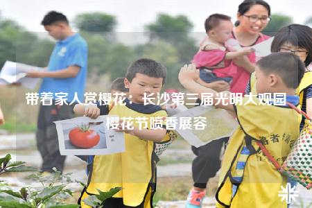帶著家人賞櫻花：長沙第三屆光明大觀園櫻花節(jié)噴香展容