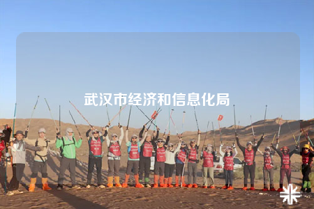 武漢市經(jīng)濟(jì)和信息化局