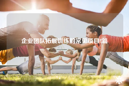企業(yè)團(tuán)隊(duì)拓展訓(xùn)練的常見(jiàn)項(xiàng)目3篇