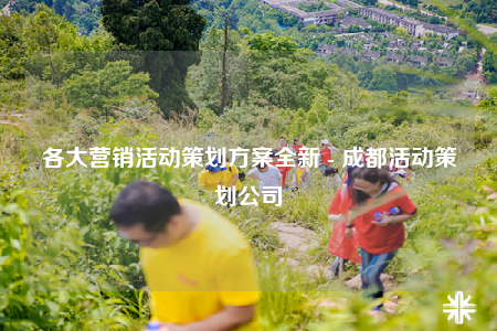 各大營銷活動(dòng)策劃方案全新 - 成都活動(dòng)策劃公司
