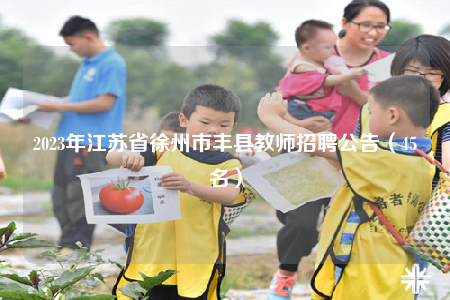 2023年江蘇省徐州市豐縣教師招聘公告（45名）