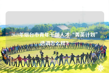 2019年煙臺市青年干部人才“菁英計劃”選調(diào)怎么樣？