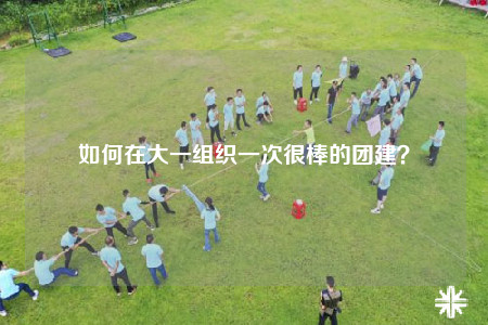 如何在大一組織一次很棒的團(tuán)建？