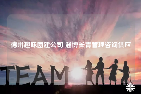 德州趣味團建公司 淄博長青管理咨詢供應