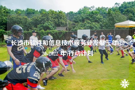 長沙市軟件和信息技術服務業(yè)發(fā)展三年(2020-2022 年)行動計劃